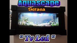 Cara pasang aquascape di dinding,# How to install aquascape on the wall