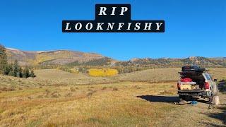 The Future of Looknfishy...