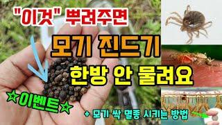 모기 진드기 이것만 뿌려주면 백만마리가와도 한방 안물려요 천연유래 기피제 모기유충 퇴치방법 #모기기피제