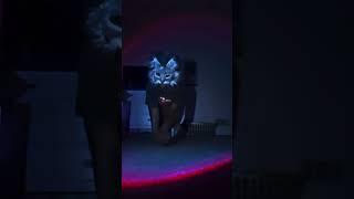 I love this song omggg !! #music #song #silly #therianthrophy #fursuit #cat #kimonomimi #cosplay