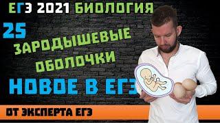 Сходство зародышей | Новое В ЕГЭ | 25 | Биология