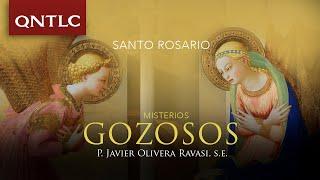 Santo Rosario con el P. Javier Olivera Ravasi, SE: Misterios Gozosos