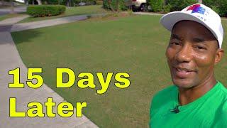 [GREENER LAWN in ONLY 15 DAYS] - Fix Tony's Lawn