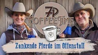 Zankende Pferde im Offenstall | 7P CoffeeTime 