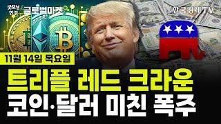 [11/14 #당잠사] 소비자물가지수(CPI) 예상 부합! 12월 스몰컷 ▲ | 강달러 6개월래 최고 | 비트코인 9만3천 돌파 | 테슬라 목표가 500달러 | 슈마컴 상폐 경고