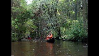 Functional Freestyle Canoeing With Grace and Efficiency