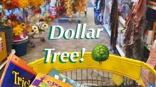 Dollar Tree Shopping!Fall & halloween! (No talking version) Shop with Rebecca.