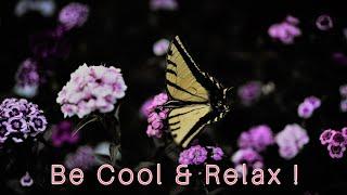 Anti-stress video | Stress Buster Therapy | Be Cool & Relax !