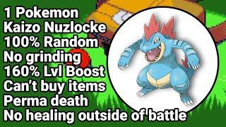 The Hardest Pokemon Challenge! Pokemon Emerald Kaizo Ironmon