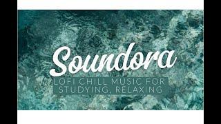Calm Forest Sounds for Relaxation | Nature Music to Relax and Sleep | Soundora