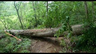 MCRRC Run Aware 5k 2025 Race FPV/POV