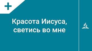 №249 Красота Иисуса светись во мне | Караоке с голосом | Гимны надежды