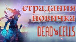 50 Забегов Новичка в Dead Cells | Страдания Новичка