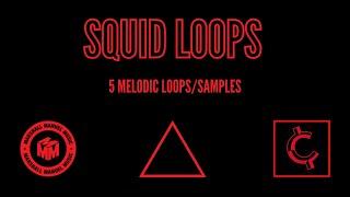 MELODIC SAMPLE PACK/LOOPKIT "SQUID LOOPS" - 5 AMBIENT DARK SAMPLES WITH VOX