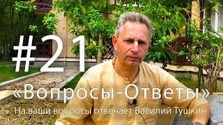 "Вопросы-Ответы", Выпуск #21 - Василий Тушкин отвечает на ваши вопросы