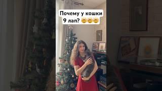 Сколько лап у кошки? #егэ #математика #олимпиады