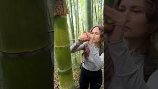 The GIRL's skills are AMAZING#camping #survival #bushcraft #outdoors #lifehack