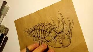 Trilobite ink speedrawing