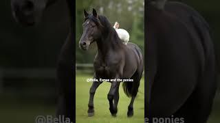 #equestrian#horse#pony#bunny#ai#cool#funny#reletable#humor#viral#bella#