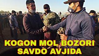 КОГОН МОЛ БОЗОРИ АВЖИДА // KOGON MOL BOZORI AVJIDA 27.09.2020.