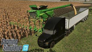 My First Corn Harvest in FS23!