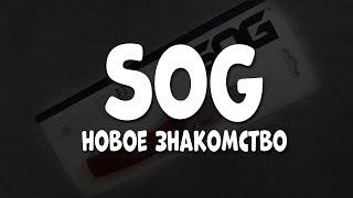 SOG желает познакомиться