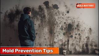 Mold Prevention Tips - Mold Busters