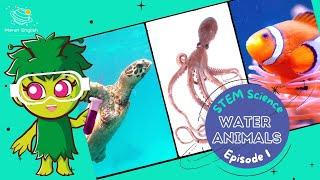 Water Animals Ep1 | Science for Kids | STEM Home Learning