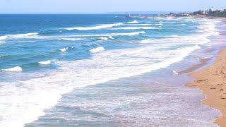 Endlessly wide summer ocean refreshing waves sound, cool breeze up to the chest ASMR 