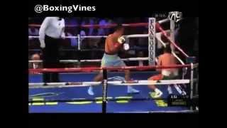BOXING VINE #3