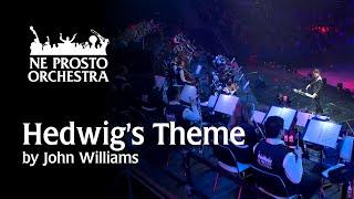 Hedwig's Theme - Ne Prosto Orchestra