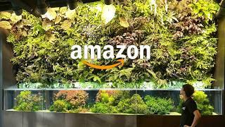 Inside Amazon Headquarters | Private Aquariums Tour