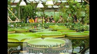 Ботанический  Сад Петра Великого. Санкт-Петербург. Peter the Great Botanical Garden. May 2021.