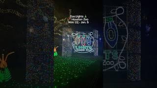 Houston Zoo Lights 2024  #houston #houstonzoo #zoolights #thingstodoinhouston