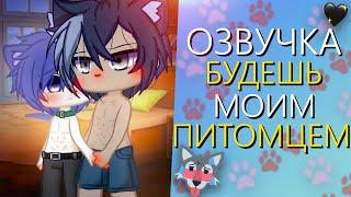 ОЗВУЧКА СЕРИАЛА  Будешь моим питомцем  Гача Лайф Мини Фильм - Gacha Life [Яой]