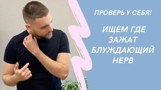 7 мест, в которых зажимается блуждающий нерв Проверьте себя!