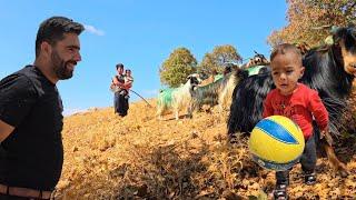 Nomadic documentary of Arad and Jaber in the absence of Saifullah in the mountains