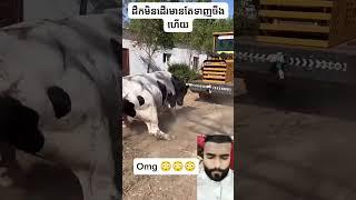 Machine hil gai aur tut gai