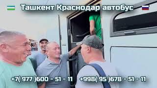 32) Ташкент-Краснодар автобус | Краснодар-Ташкент автобус | Krasnodar -Toshkent | Toshkent-Krasnodar