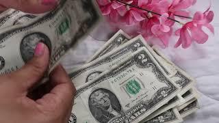 ASMR Money Manifest 2022 | Guess How Much There Is In $2 Dollar Bills! | no talking asmr