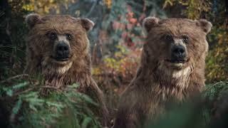 Twix: Bears / Camping (Cannes advertising festival 2022) (Film Category Silver Lion)