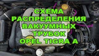 Схема распределения вакуумных трубок Opel Tigra A