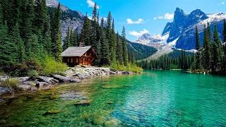 INSTANTLY CALM YOUR NERVOUS SYSTEM | The Ultimate Music for Deep Relaxation & Stress Relief
