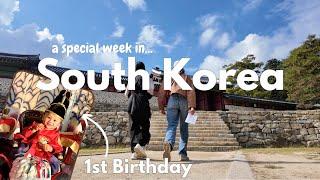 Ardho's First Birthday 돌잔치 (Dol-jan-chi) | Korean Tradition | Homemaking | Influencer Event | Hiking