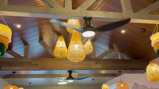 KAZE ceiling, wall, and orbit fans at a family friend's restaurant (speeds and spindown)