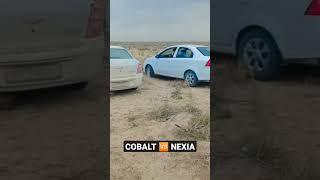 COBALT  NEXIA #nexia #2023 #shorts #short #shortvideo #uzbekistan #рек #new #andijon #cobalt