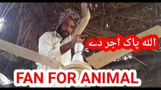 Fan for animal |animal farming in home| prail alert