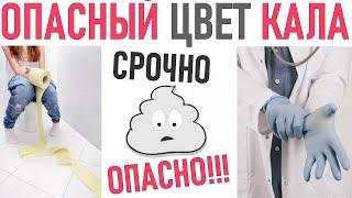 ЦВЕТ СТУЛА | Какой цвет кала должен вас беспокоить