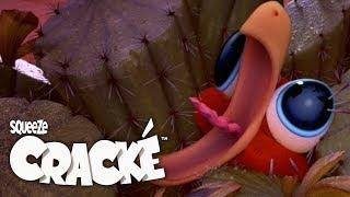 CRACKÉ  - BUZZ ED _Cartoon for kids | Chuggington TV