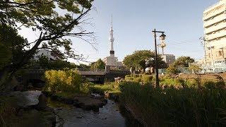 4K・ 【4K】Random walk from Ryogoku to SkyTree